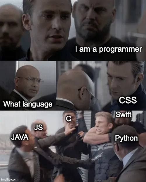 «Je suis programmeur» «Quel langage ?» «CSS» les autres langages l'attaquent